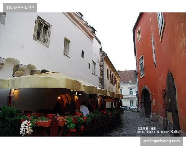 匈牙利甲级联赛决赛第三场分析:维斯普雷姆如何破解布达佩斯防守