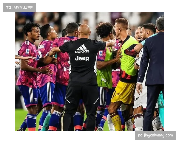 比赛转折点:分析师回顾魔鬼队对阵枫叶队比赛中一次有争议的进球被吹罚